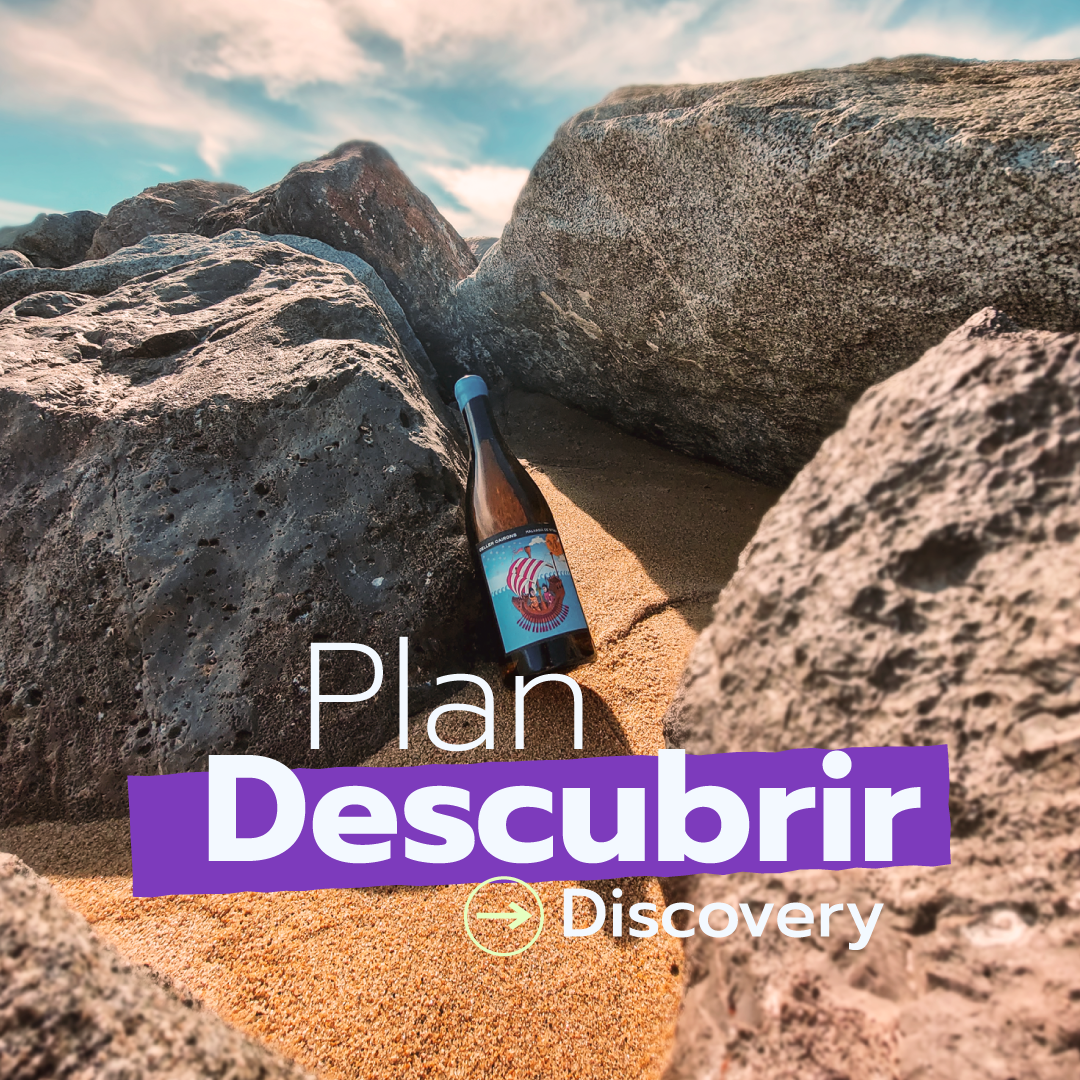 Plan Descubrir